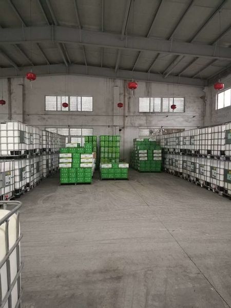Cina Shenzhen Taiqiang Investment Holding Co., Ltd Profil Perusahaan